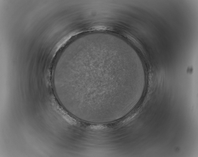 X0000113951023200911061259