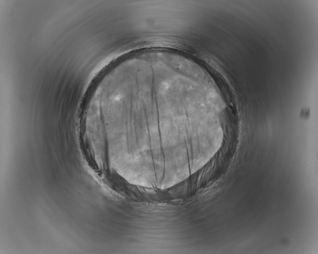 X0000113951024200911061259