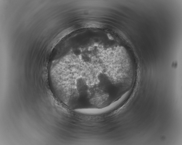 X0000113951025200911061259