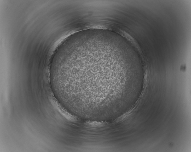 X0000113951027200911061259