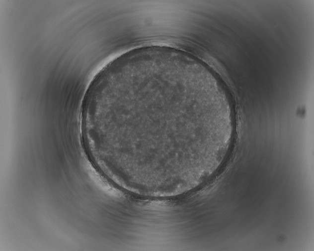 X0000113951028200911061259
