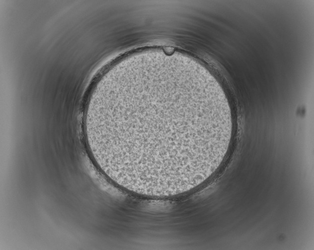 X0000113951029200911061259
