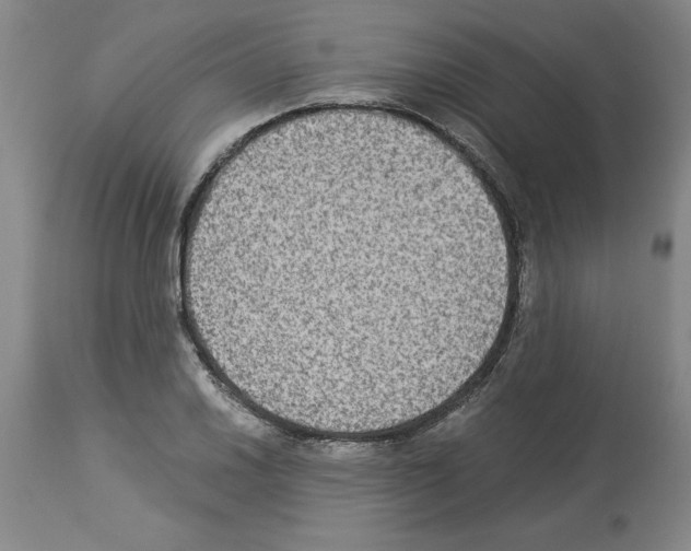 X0000113951030200911061259