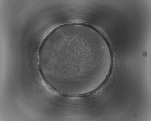 X0000113951031200911061259