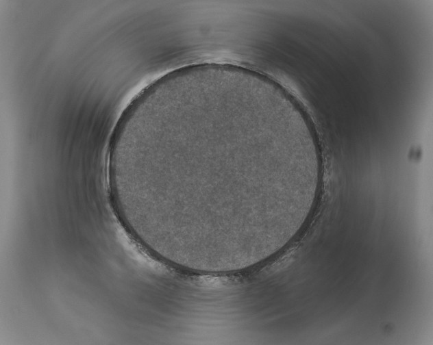X0000113951032200911061259