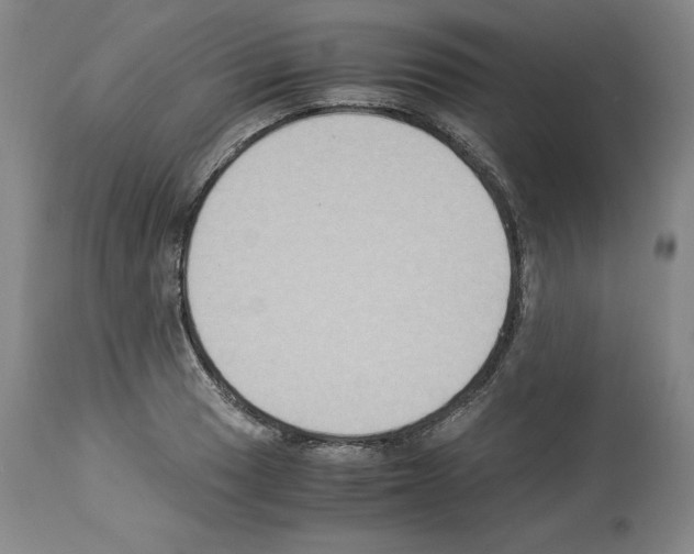 X0000113951033200911061259
