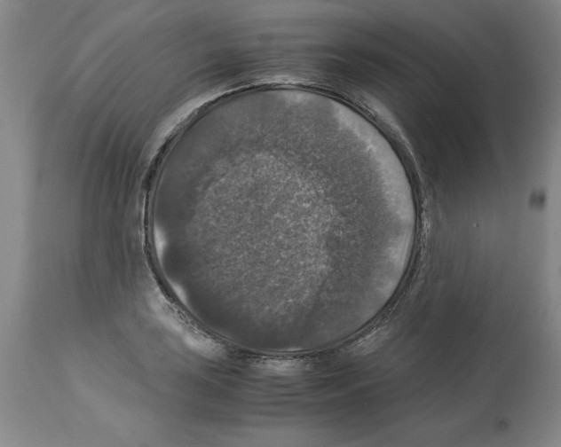 X0000113951035200911061259