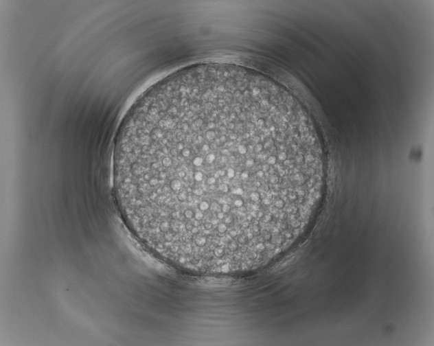 X0000113951036200911061259