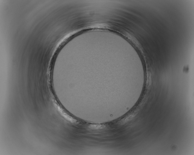 X0000113951037200911061259
