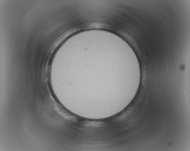 X0000113951039200911061259