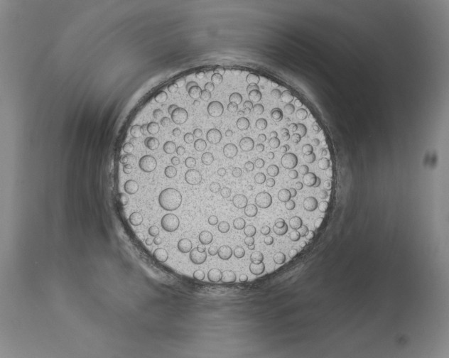 X0000113951040200911061259