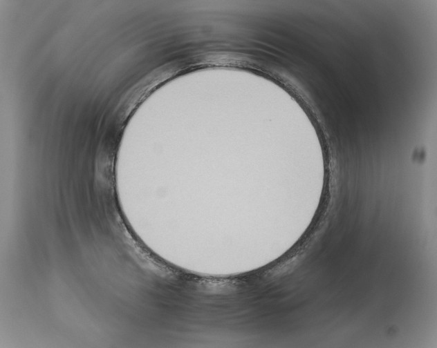 X0000113951041200911061259