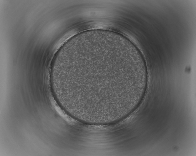 X0000113951042200911061259