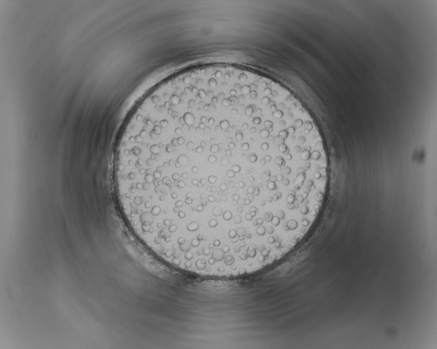 X0000113951044200911061259