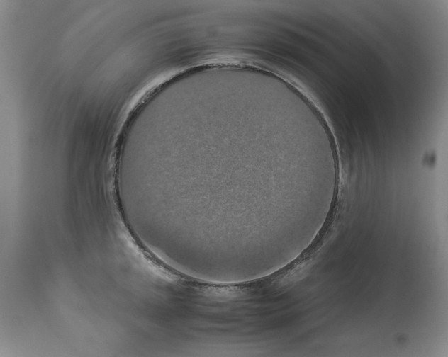 X0000113951045200911061259