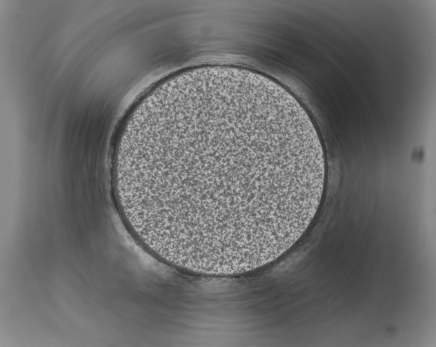 X0000113951046200911061259