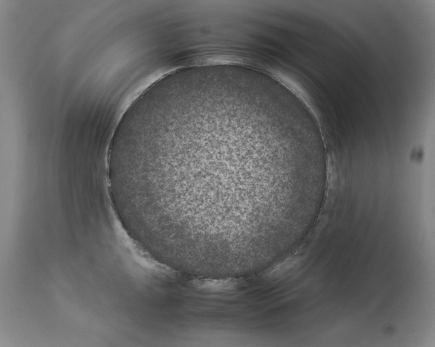 X0000113951047200911061259