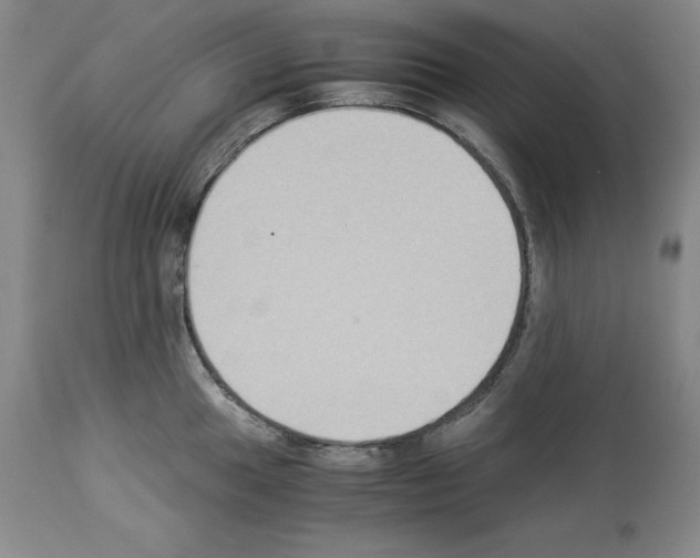 X0000113951049200911061259
