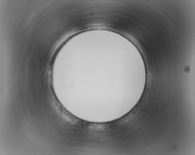 X0000113951051200911061259