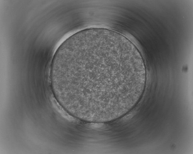 X0000113951052200911061259
