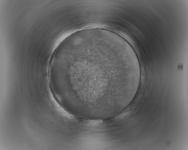 X0000113951055200911061259