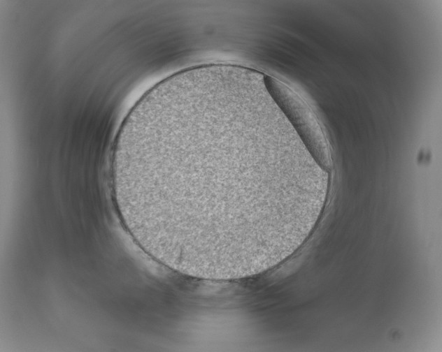 X0000113951056200911061259