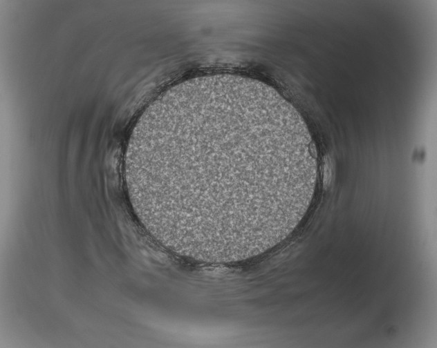 X0000113951059200911061259