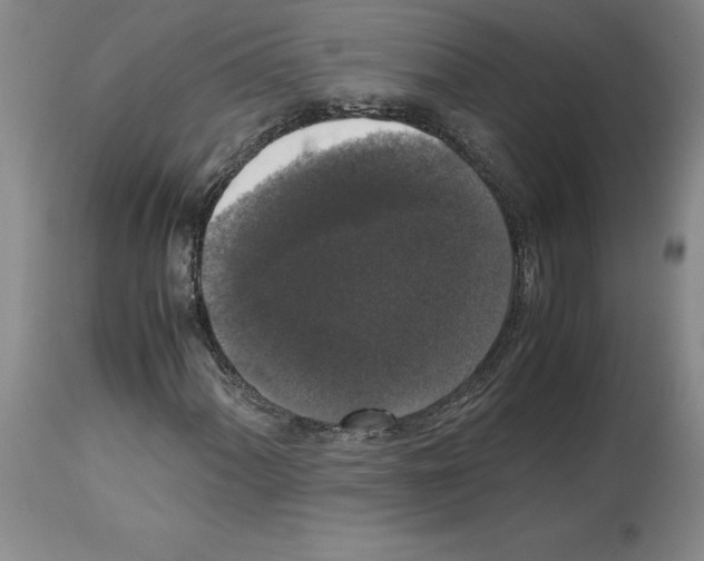 X0000113951060200911061259