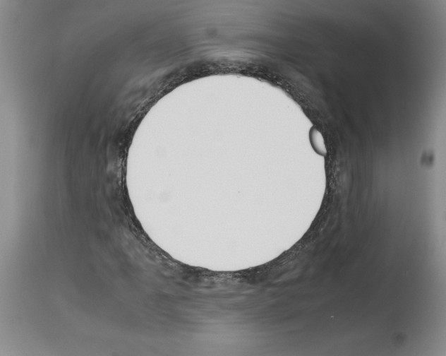 X0000113951061200911061258