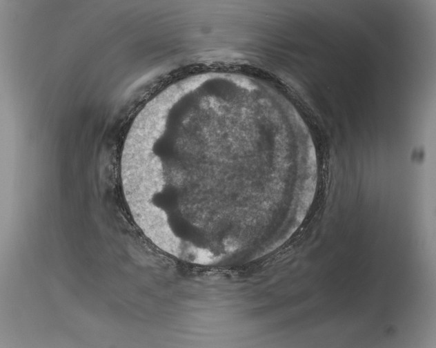 X0000113951063200911061258