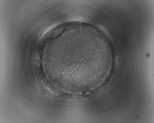 X0000113951064200911061258