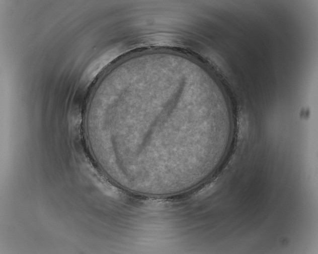 X0000113951065200911061258