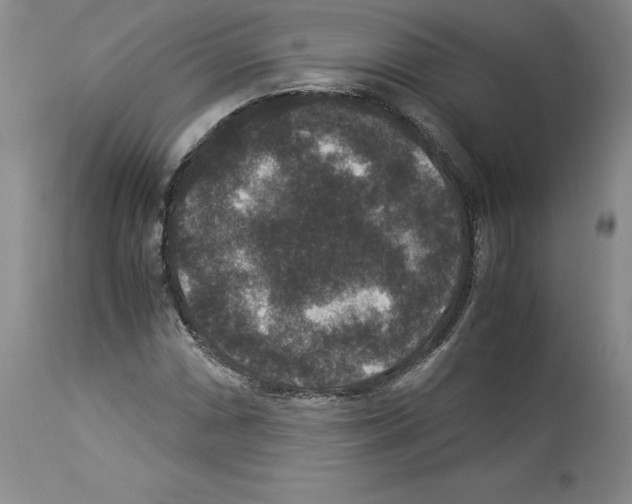 X0000113951066200911061258