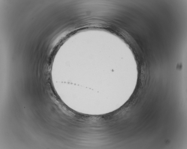 X0000113951067200911061258