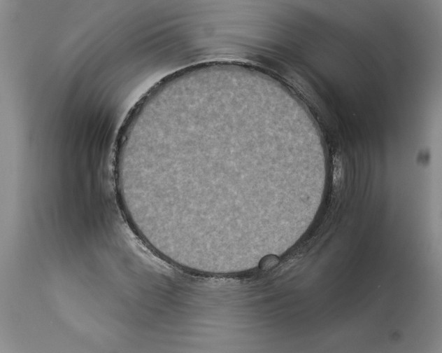 X0000113951068200911061258