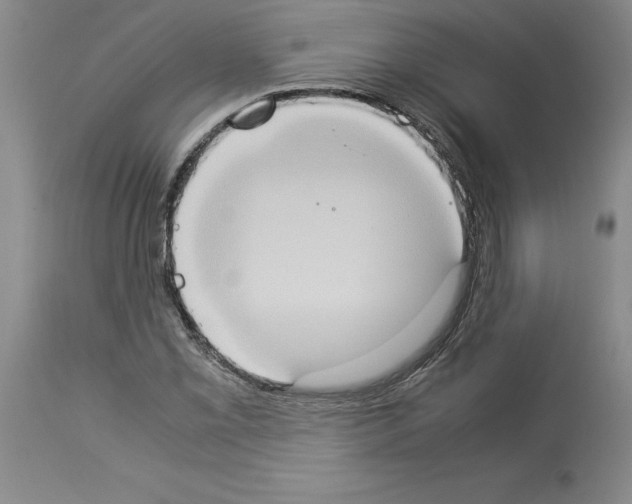 X0000113951069200911061258