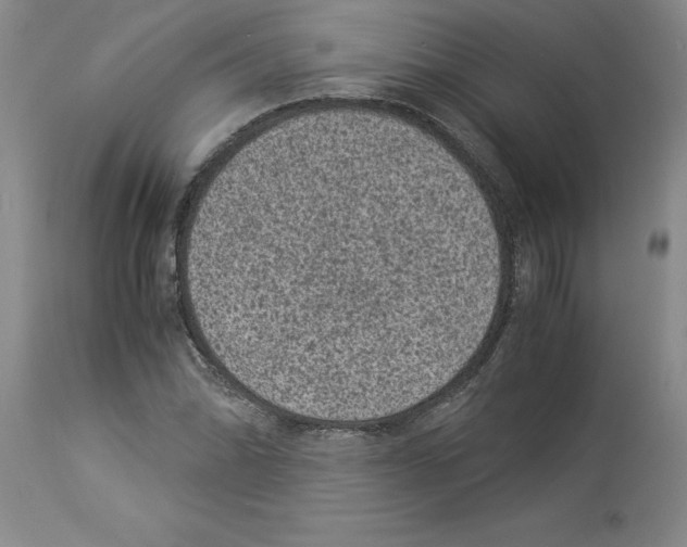 X0000113951070200911061258