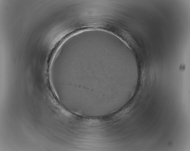X0000113951071200911061258