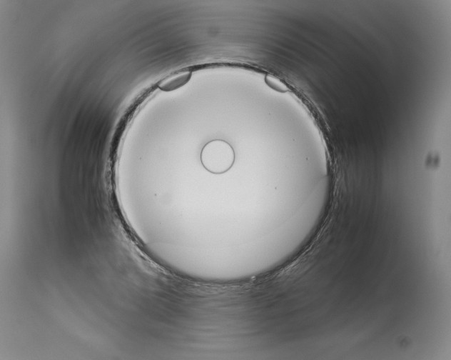 X0000113951072200911061258
