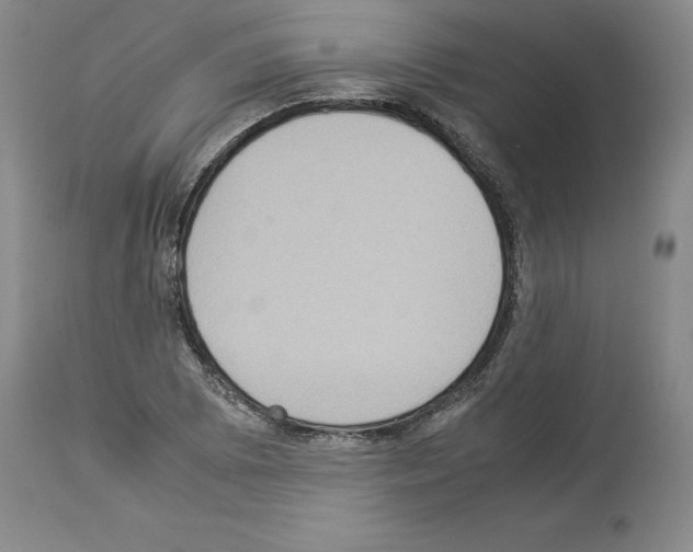 X0000113951073200911061258