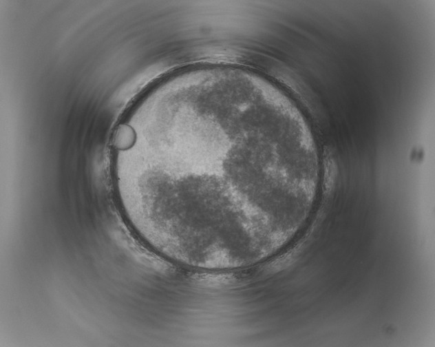 X0000113951074200911061258