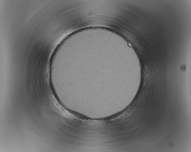 X0000113951076200911061258
