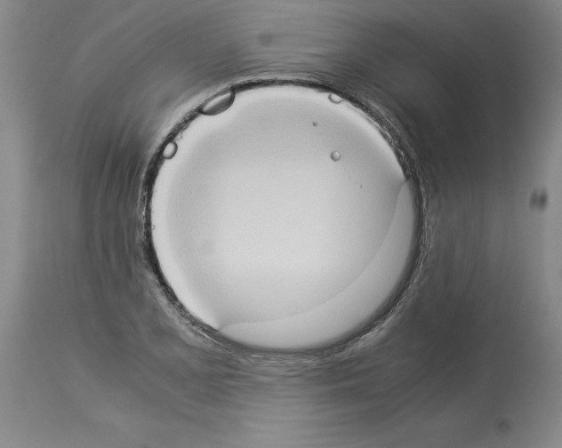 X0000113951077200911061258