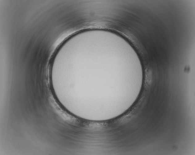 X0000113951078200911061258