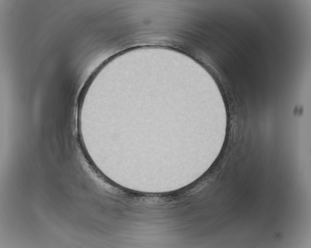 X0000113951079200911061258