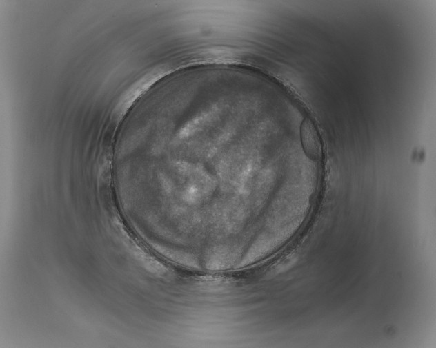X0000113951081200911061258