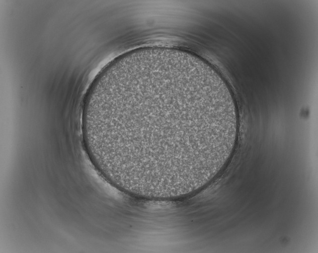 X0000113951083200911061258