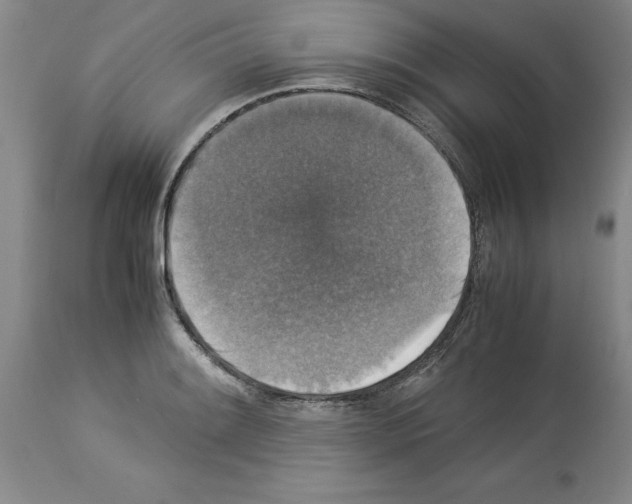 X0000113951084200911061258