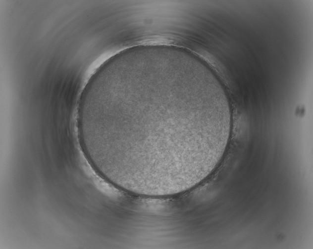 X0000113951086200911061258