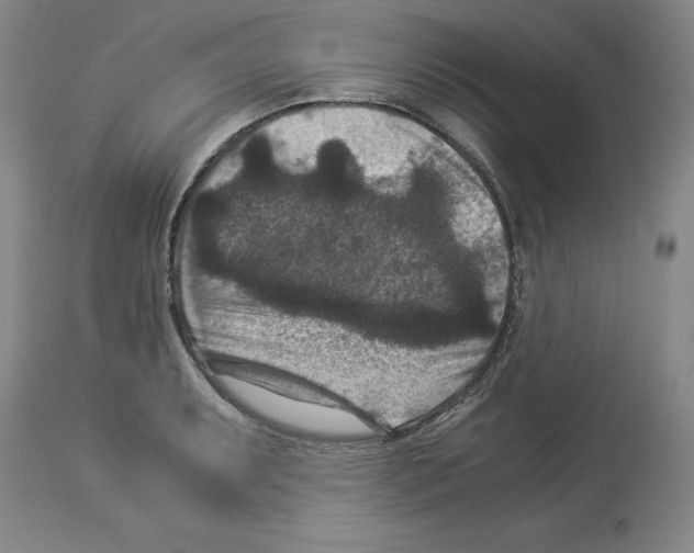 X0000113951087200911061258